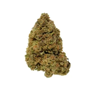 Gelato Ice