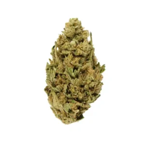 Grape Pie