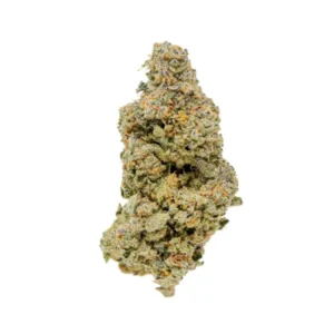 Jack Herer