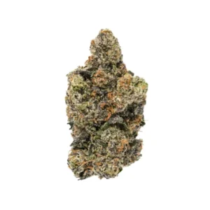 Purple Poppers