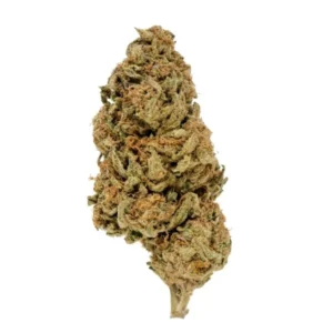 Purple Punch