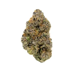 Bubblegum Gelato